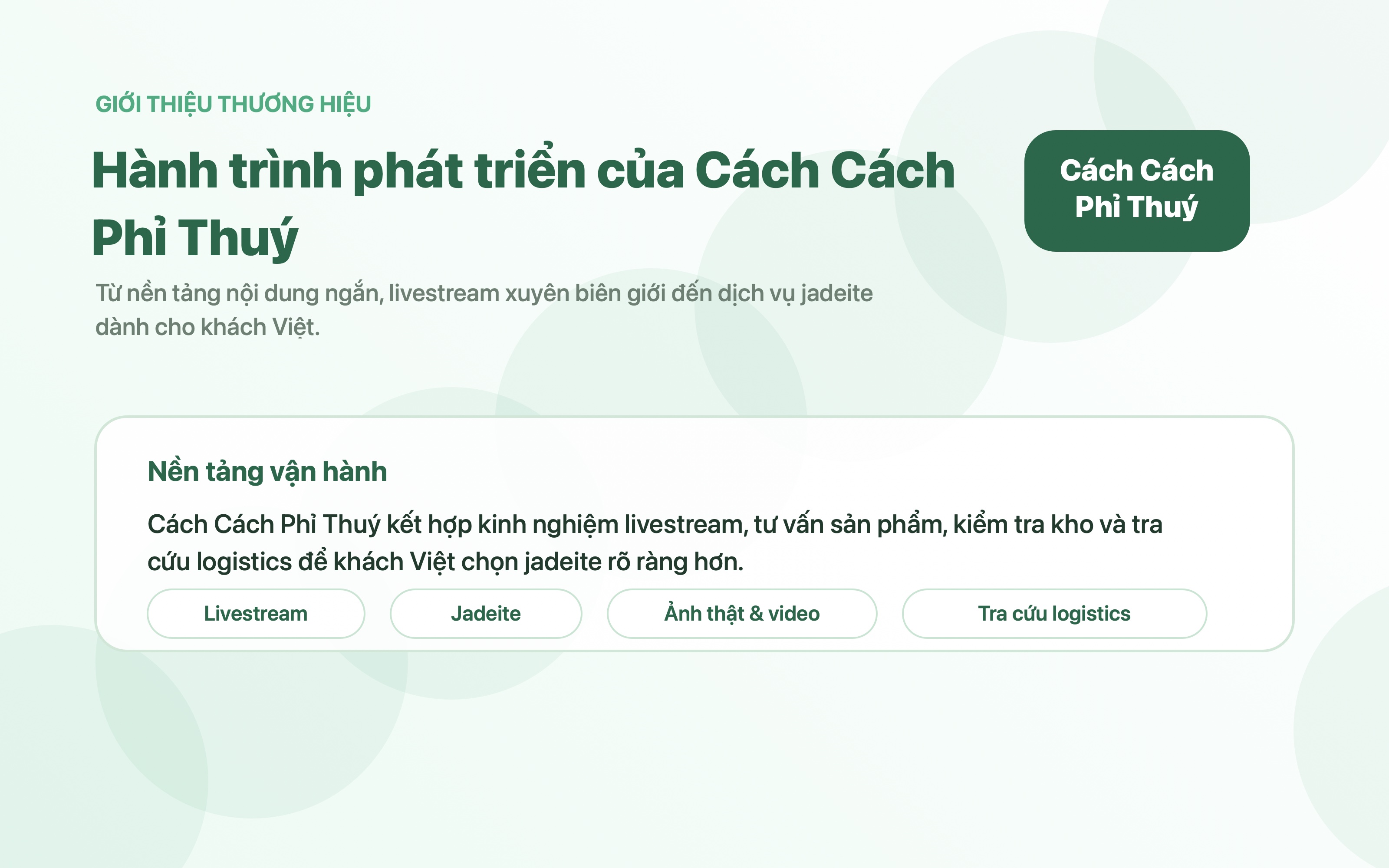 Giới thiệu nền tảng công ty đứng sau Cách Cách Phỉ Thuý